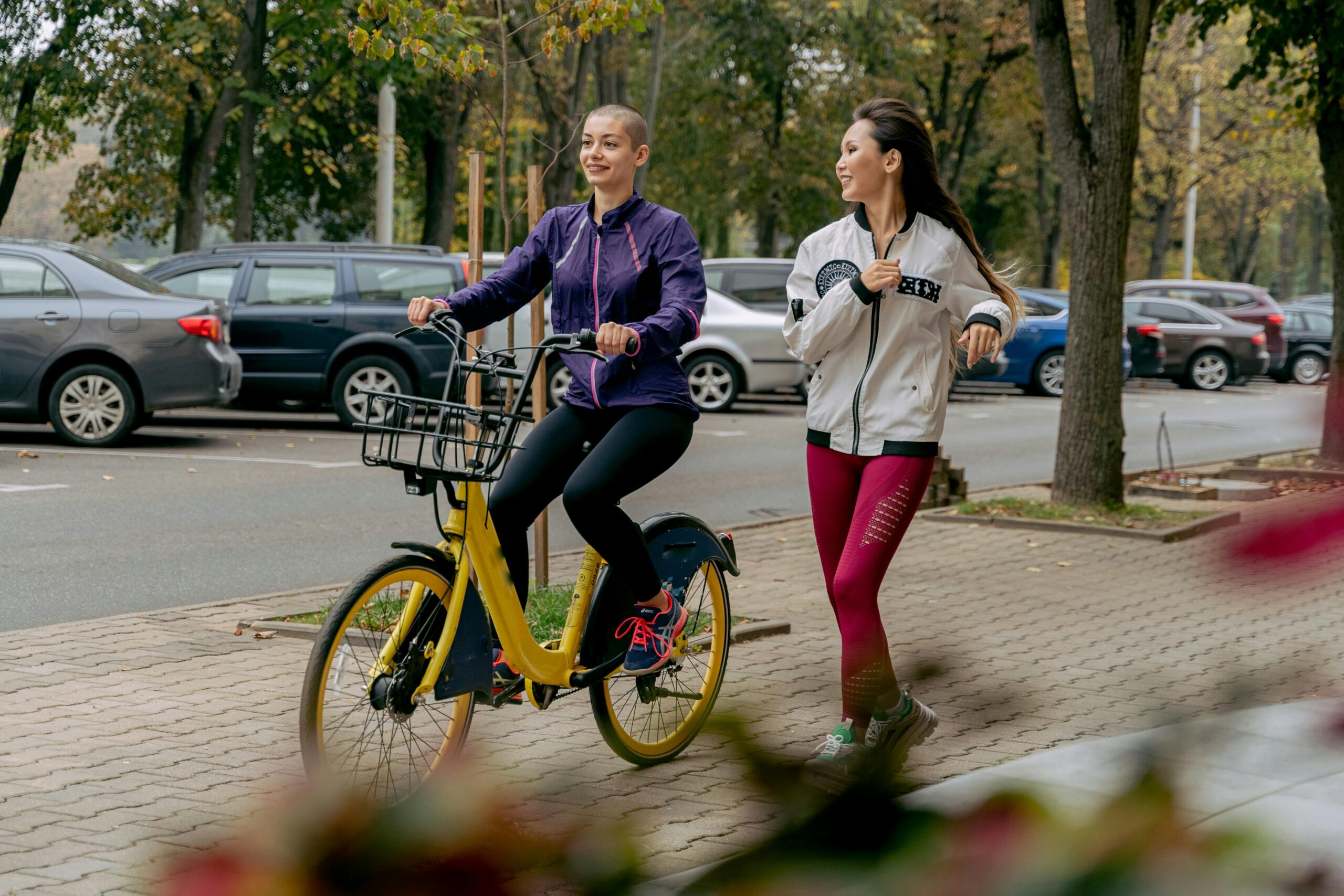 bicycle